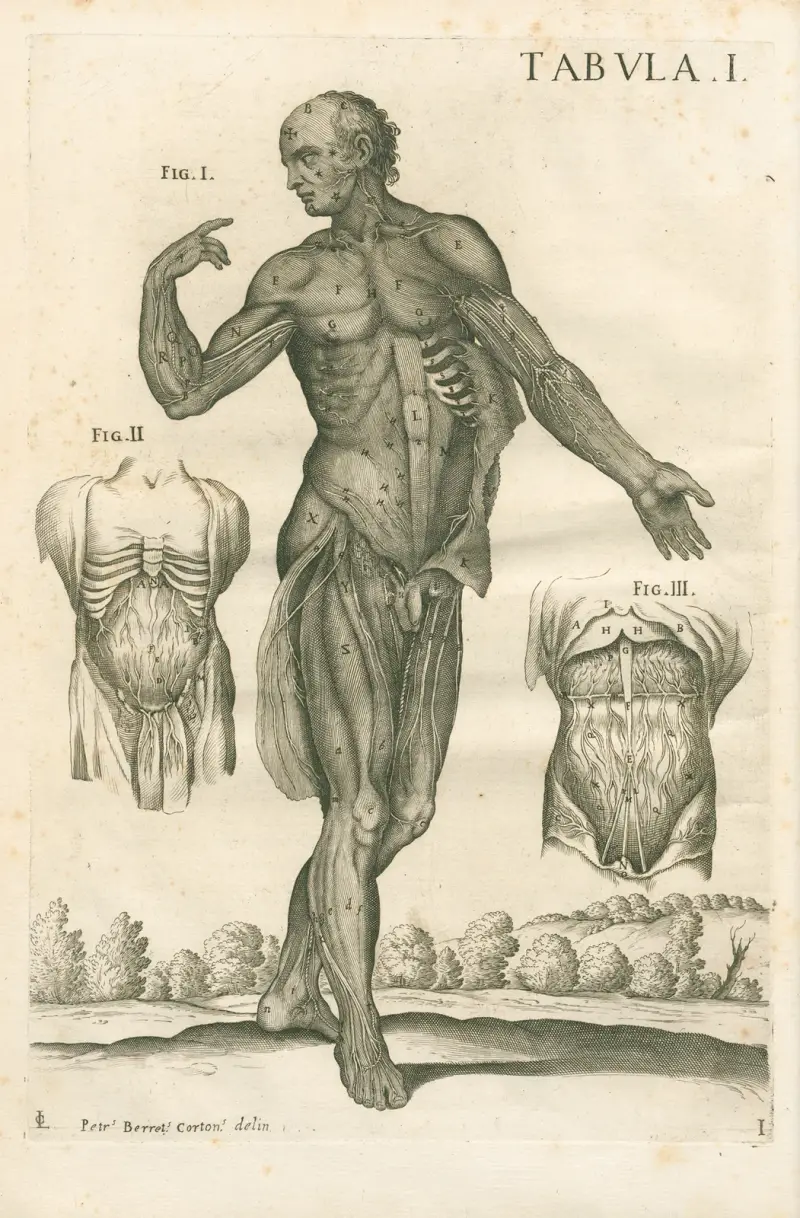 Tabulae anatomicae a celeberrimo pictore Petro Berretino Cortonensi Pl.01 av Pietro da Cortona