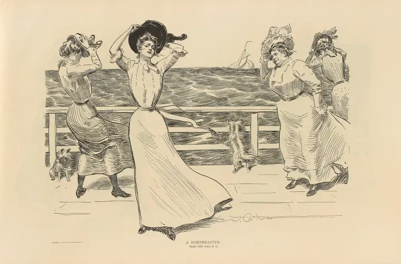 En nordostvind av Charles Dana Gibson