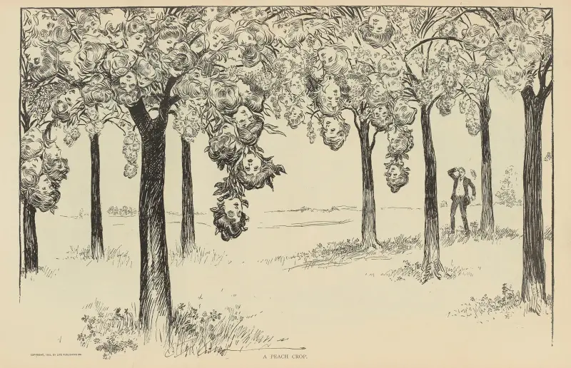 Eine Pfirsischernte von Charles Dana Gibson