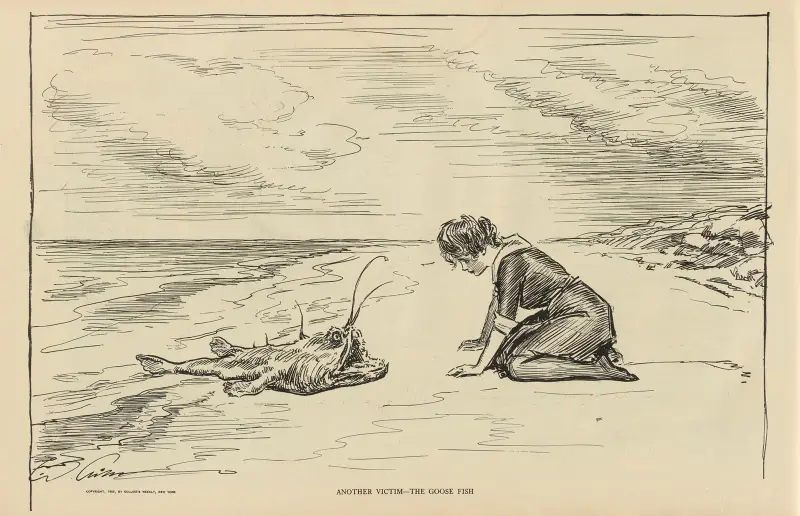 Ännu ett offer – marulk av Charles Dana Gibson