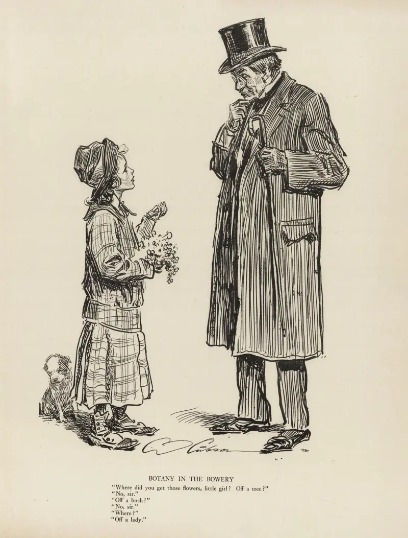 Botany in the bowery av Charles Dana Gibson