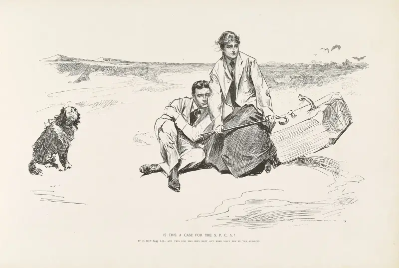 Is this a case for the S.P.C.A av Charles Dana Gibson