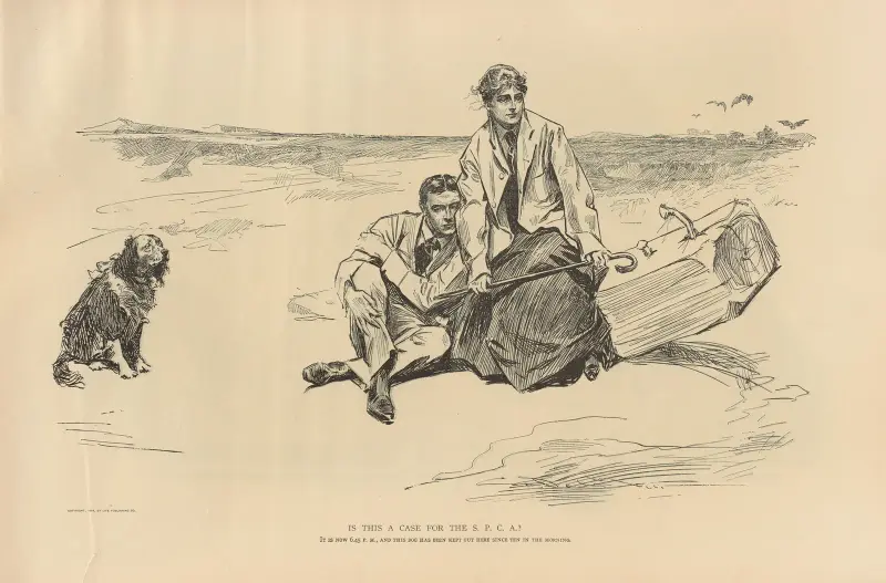Is this a case for the S. P. C. A. av Charles Dana Gibson