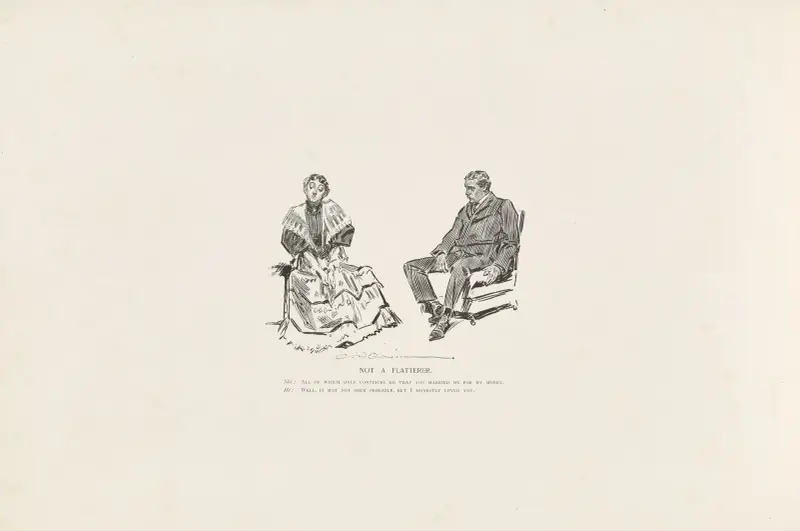 Not a flatterer av Charles Dana Gibson