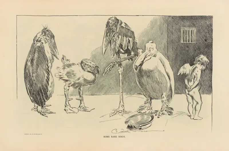 Some rare birds av Charles Dana Gibson