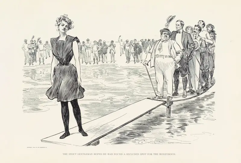 The stout gentleman hoped he had found a secluded spot for the honeymoon av Charles Dana Gibson
