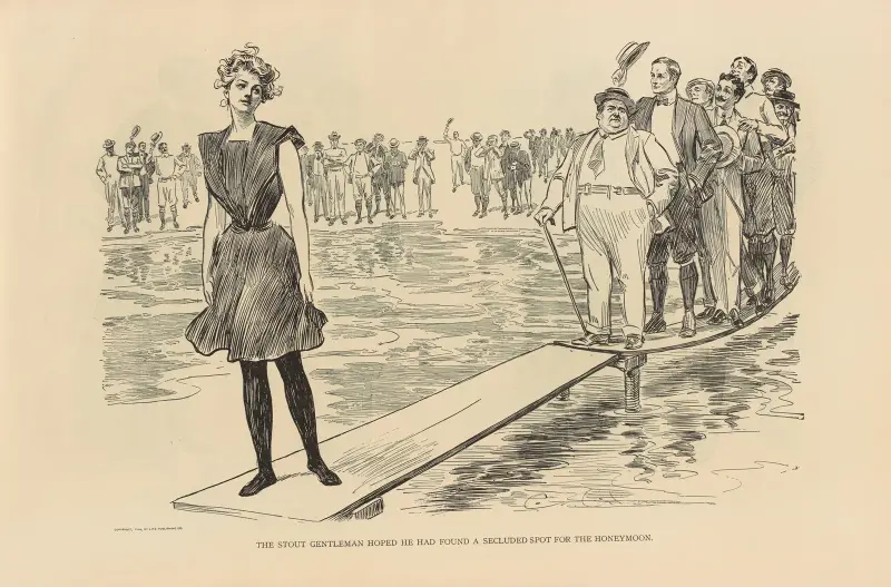 The stout gentleman hoped he had found a secluded spot for the honeymoon av Charles Dana Gibson
