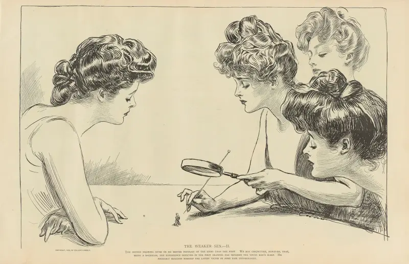Det svagare könet – II av Charles Dana Gibson