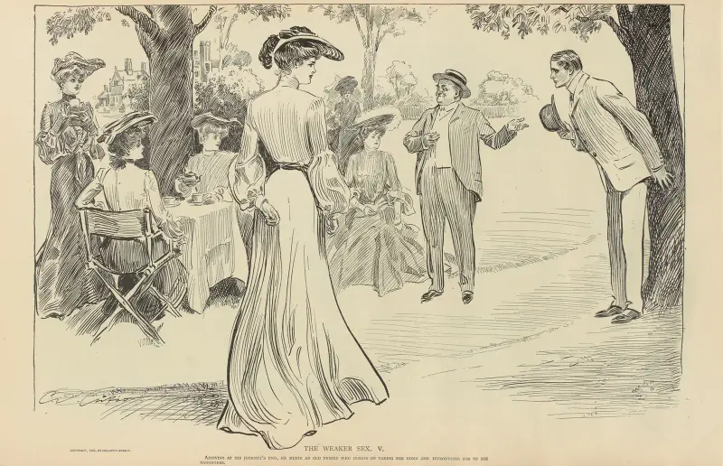 The weaker sex.—V av Charles Dana Gibson
