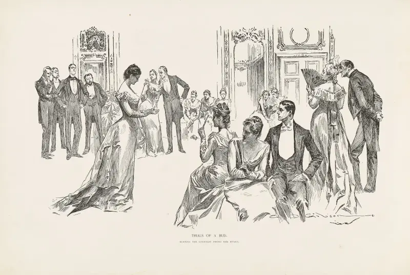 Trials of Bud av Charles Dana Gibson