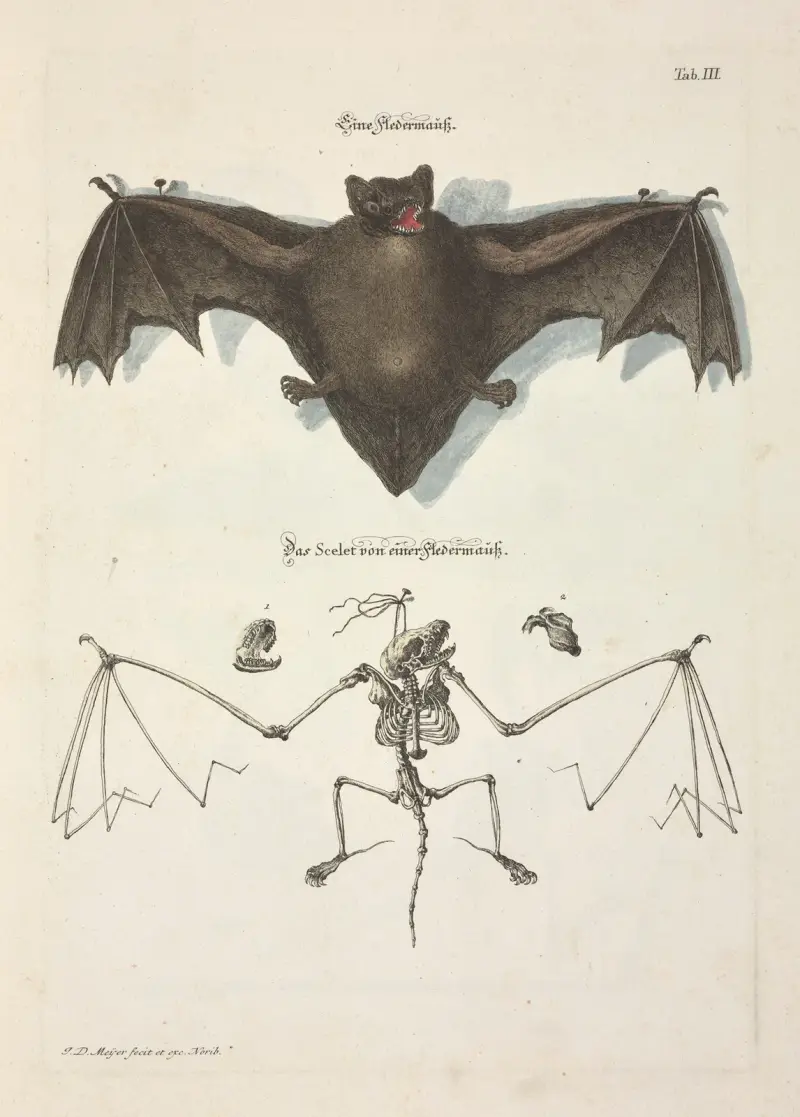 Angenehmer und nützlicher Zeit-Vertreib Pl.003 av Johann Daniel Meyer