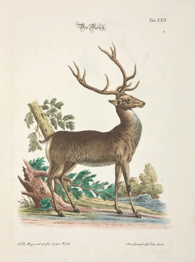 Angenehmer und nützlicher Zeit-Vertreib Pl.022 av Johann Daniel Meyer