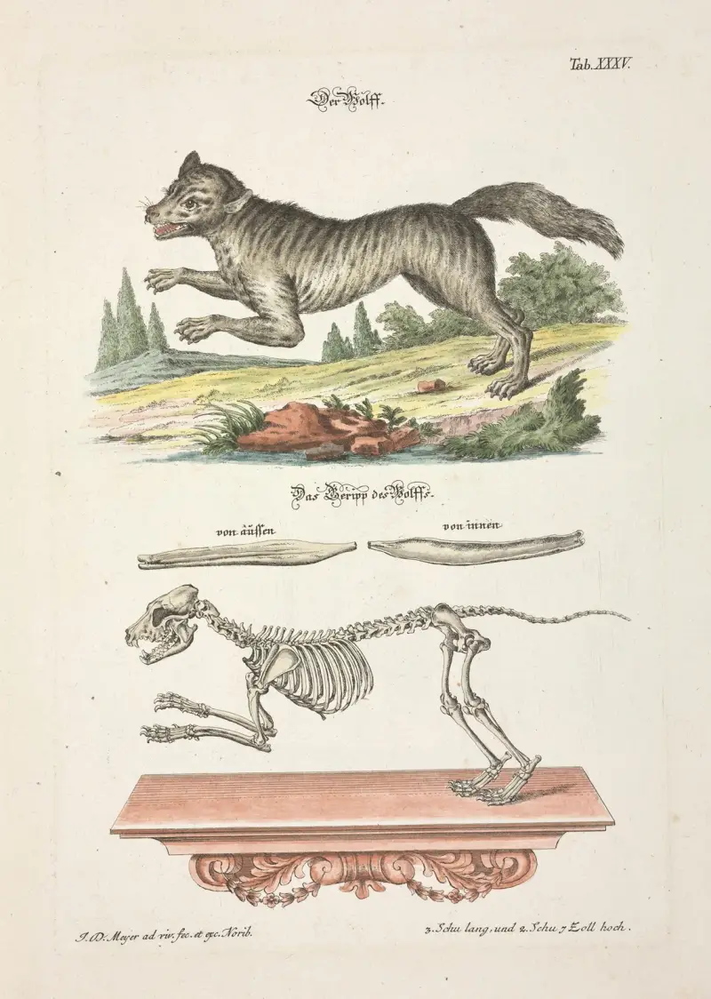 Angenehmer und nützlicher Zeit-Vertreib Pl.035 av Johann Daniel Meyer