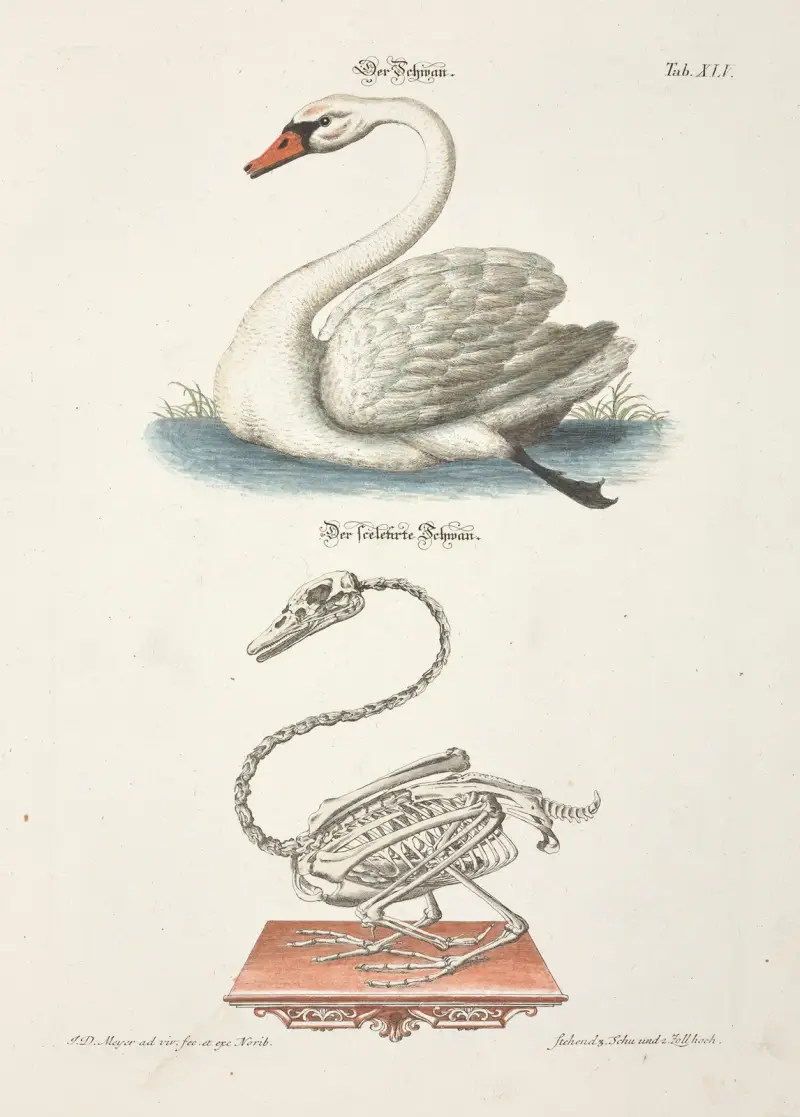 Angenehmer und nützlicher Zeit-Vertreib Pl.045 av Johann Daniel Meyer