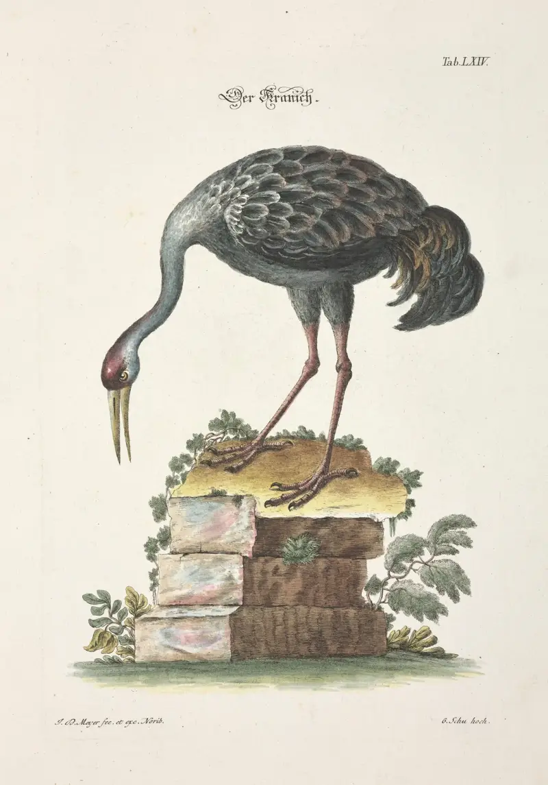 Angenehmer und nützlicher Zeit-Vertreib Pl.064 av Johann Daniel Meyer