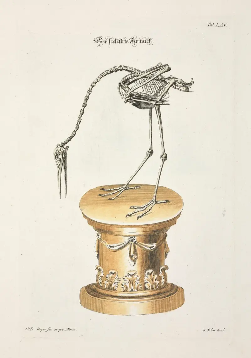 Angenehmer und nützlicher Zeit-Vertreib Pl.065 av Johann Daniel Meyer