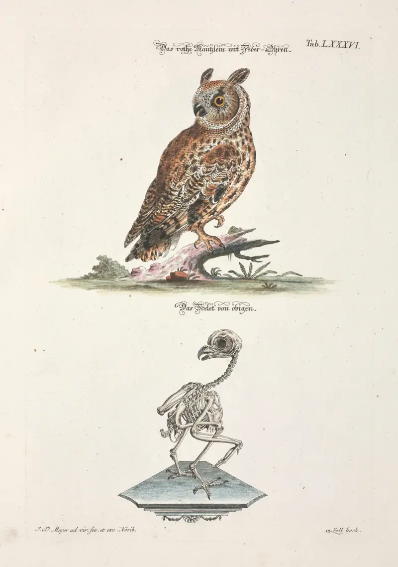 Angenehmer und nützlicher Zeit-Vertreib Pl.086 av Johann Daniel Meyer