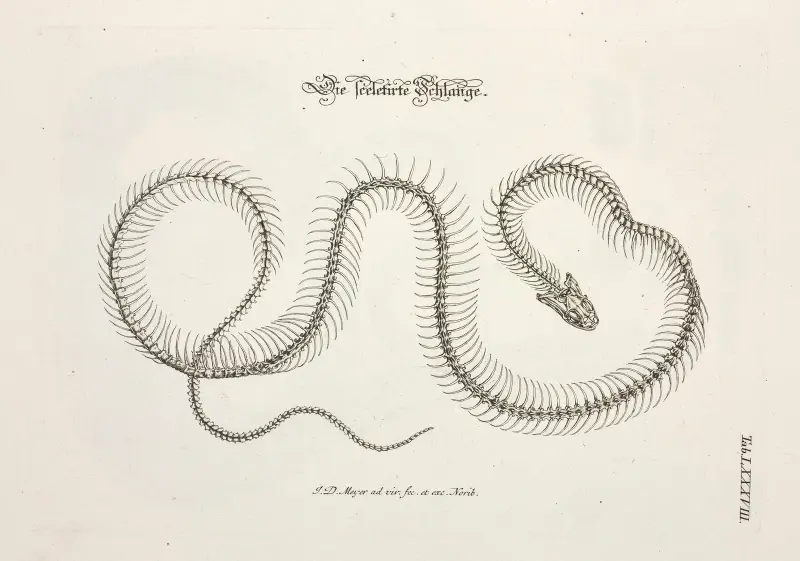 Angenehmer und nützlicher Zeit-Vertreib Pl.088 av Johann Daniel Meyer