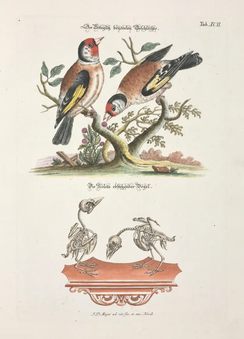 Angenehmer und nützlicher Zeit-Vertreib Pl.092 av Johann Daniel Meyer