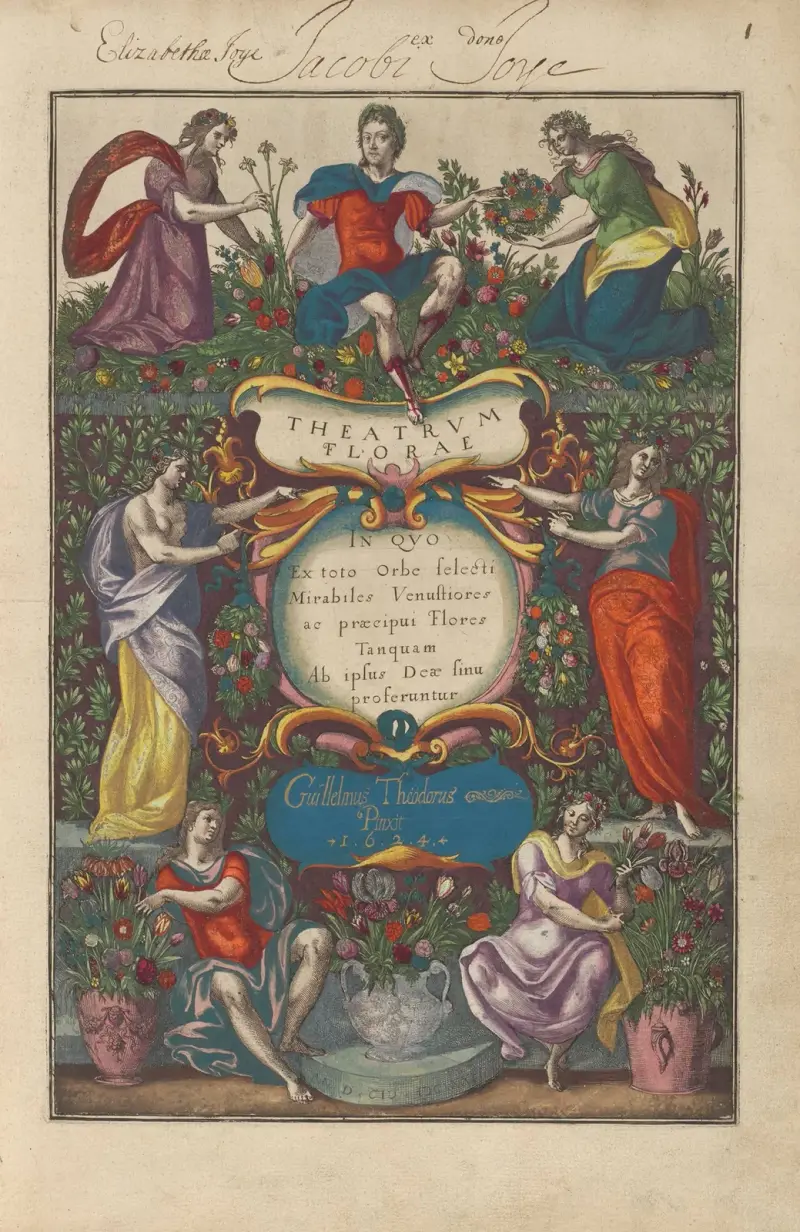 Theatrum florae Pl.01 von Daniel Rabel