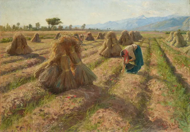 Żniwa, Elin Danielson-Gambogi