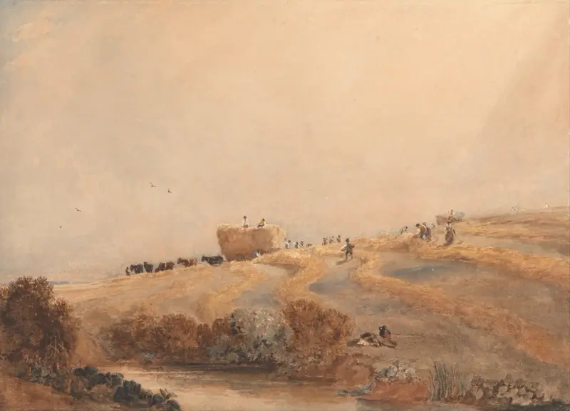 Senoseč, David Cox