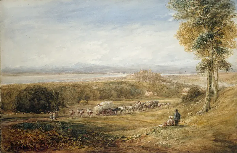 Lancaster, Peace and War av David Cox