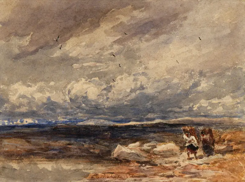 On Carrington Moss av David Cox