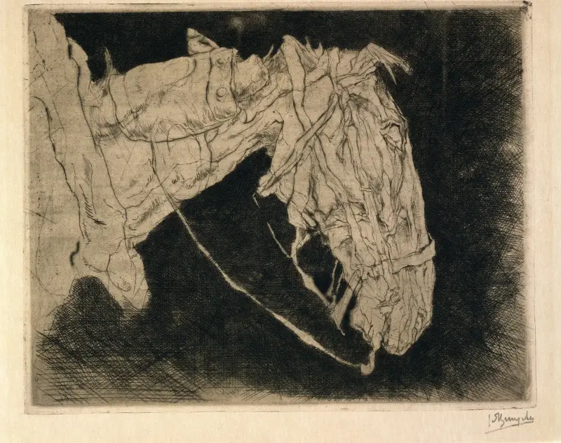 Hästhuvud av Jules De Bruycker