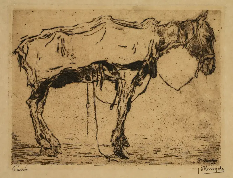 Pariah av Jules De Bruycker
