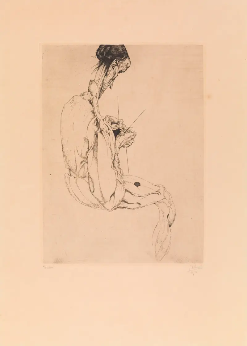 Stickan av Jules De Bruycker