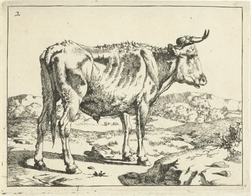 Stier neben einem Felsen stehend von Marcus de Bye