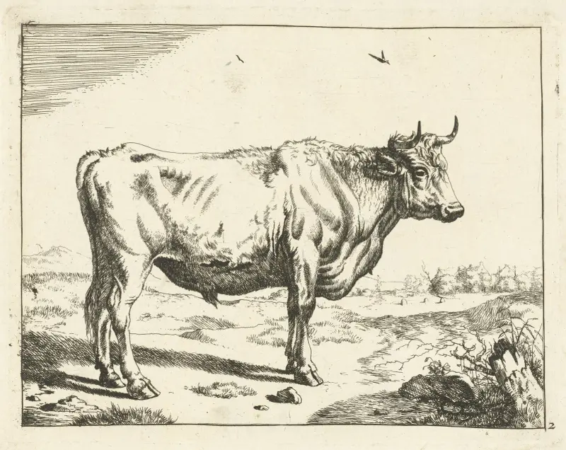 Stier nach rechts stehend, mit Vögeln von Marcus de Bye