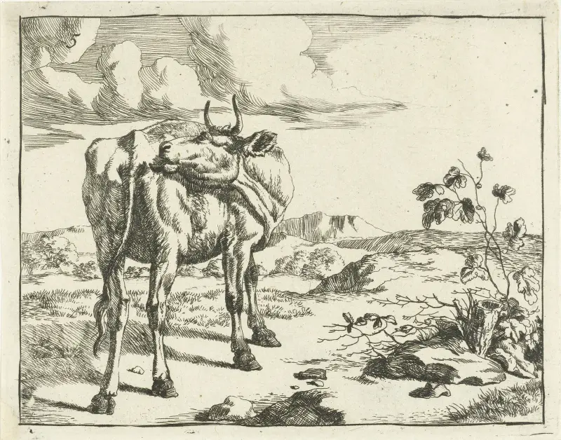 Sich leckende Kuh von Marcus de Bye