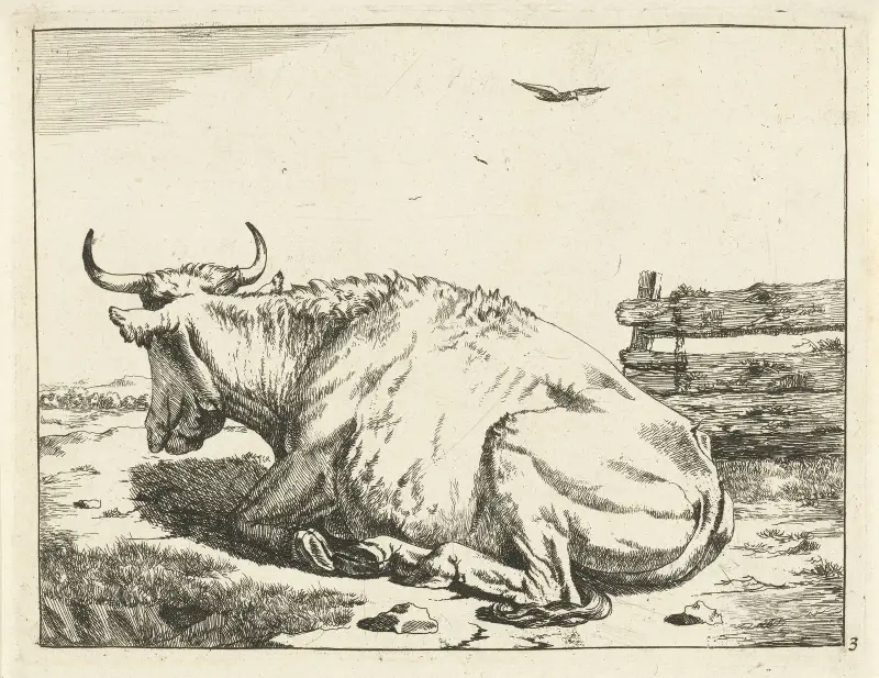 Liegende Kuh am Zaun von Marcus de Bye