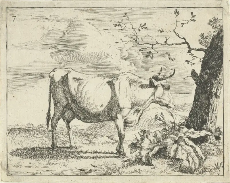 Kuh stehend bei einem Baum von Marcus de Bye