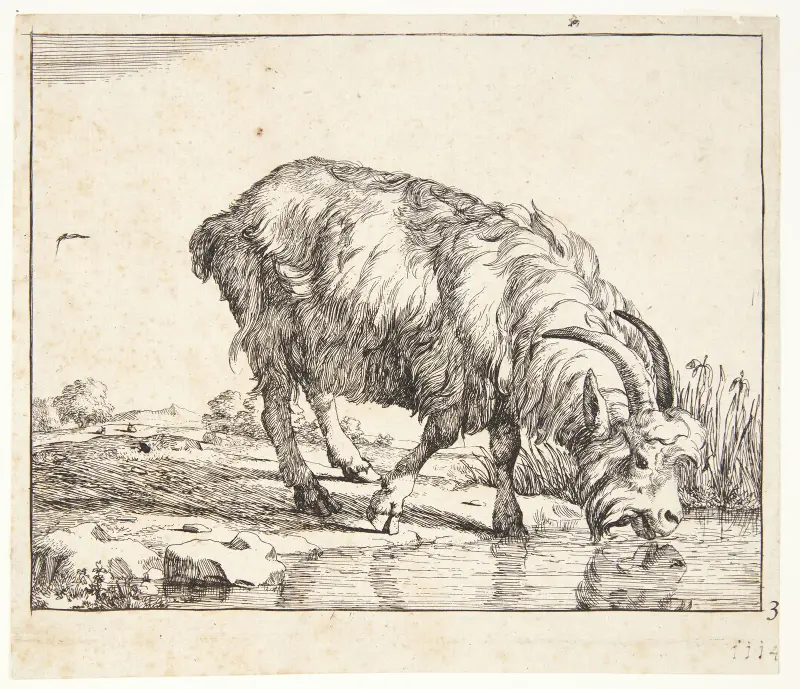Trinkende Ziege von Marcus de Bye