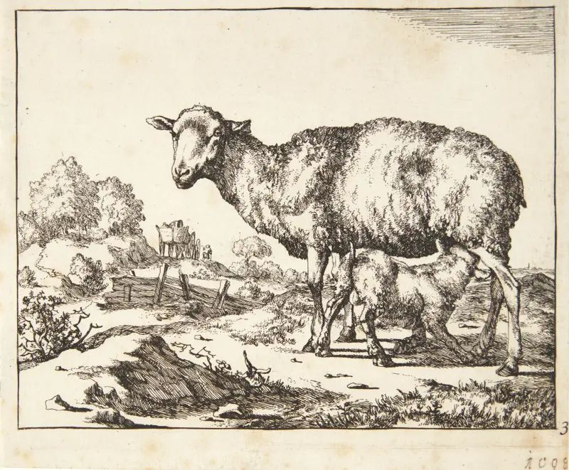 Ziege und Lamm von Marcus de Bye