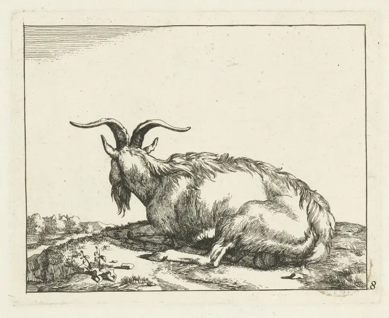 Liegende Ziege, von hinten gesehen von Marcus de Bye