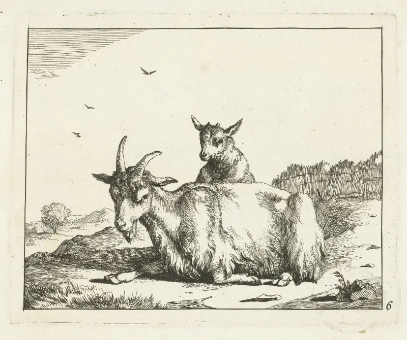 Ziege mit Lamm von Marcus de Bye