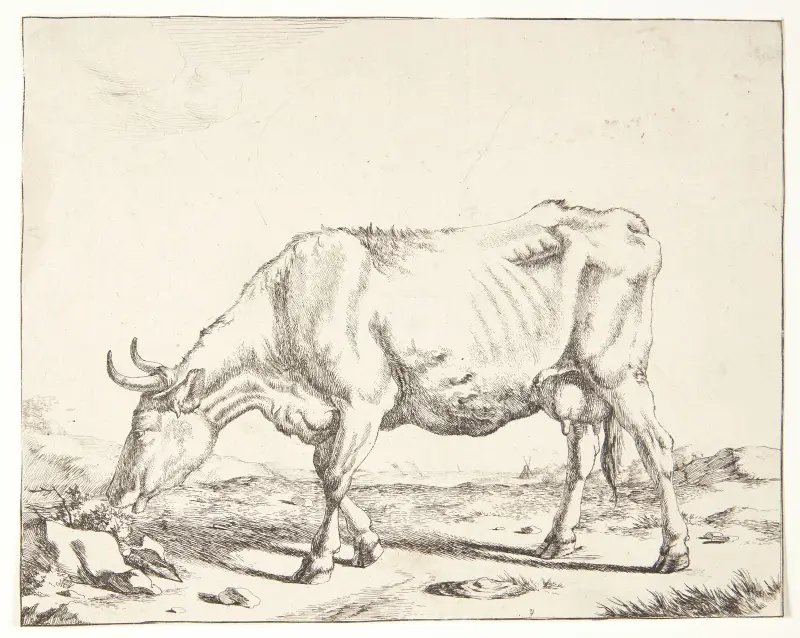 Grasende Kuh von Marcus de Bye