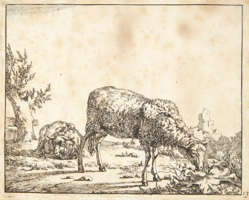 Weidende und liegende Schafe von Marcus de Bye