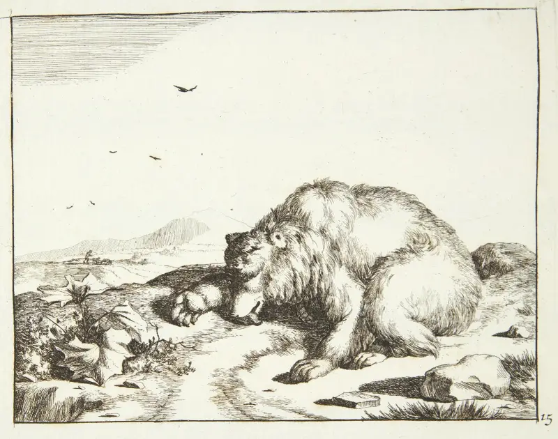Liegender Bär mit ausgestreckter Pfote von Marcus de Bye