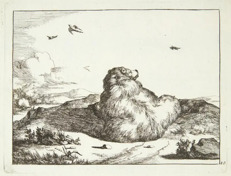 Liegender Bär, von hinten gesehen von Marcus de Bye