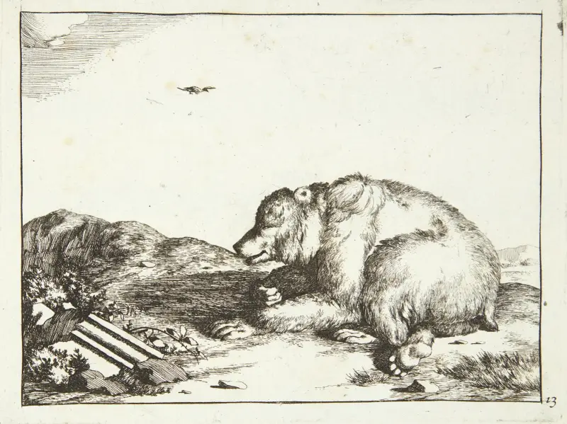 Liegender Bär, nach links gewandt von Marcus de Bye