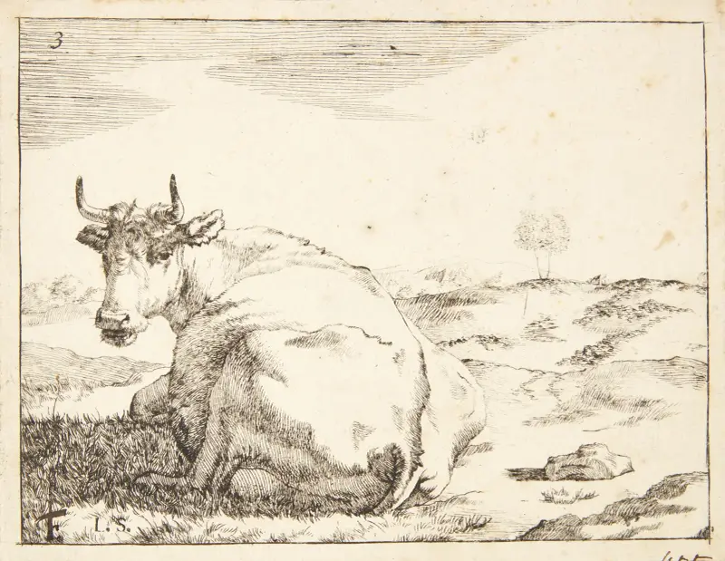 Liegende Kuh, von hinten gesehen von Marcus de Bye