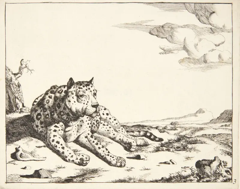 Liegender Leopard, von vorne gesehen von Marcus de Bye
