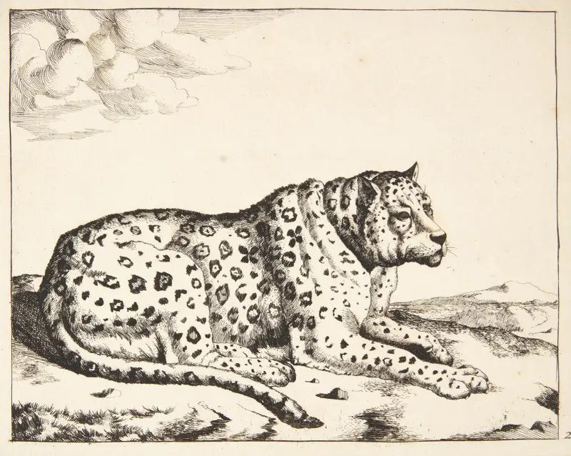 Liegender Leopard, nach rechts gewandt von Marcus de Bye