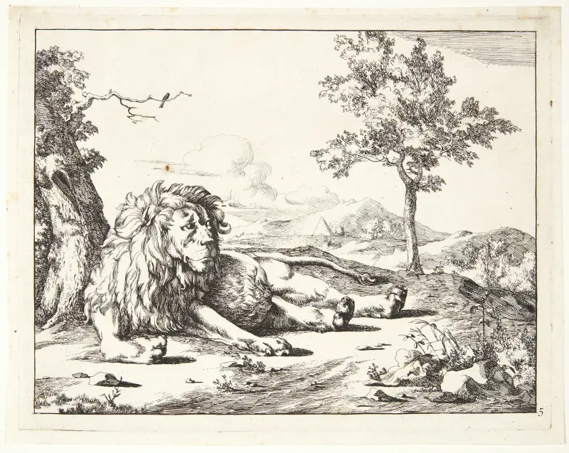 Liegender Löwe, von vorn von Marcus de Bye