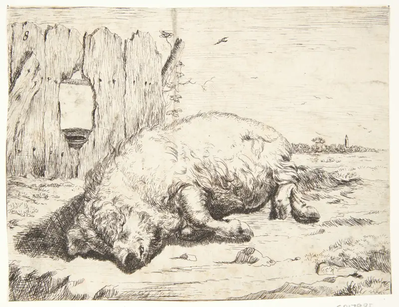 Liegende Sau von Marcus de Bye